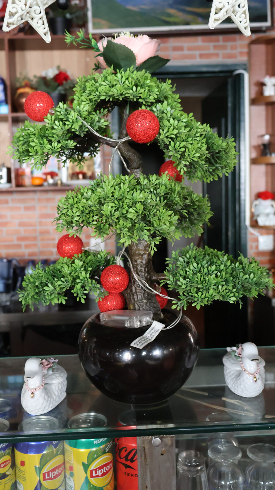 Red geraniums at the bar