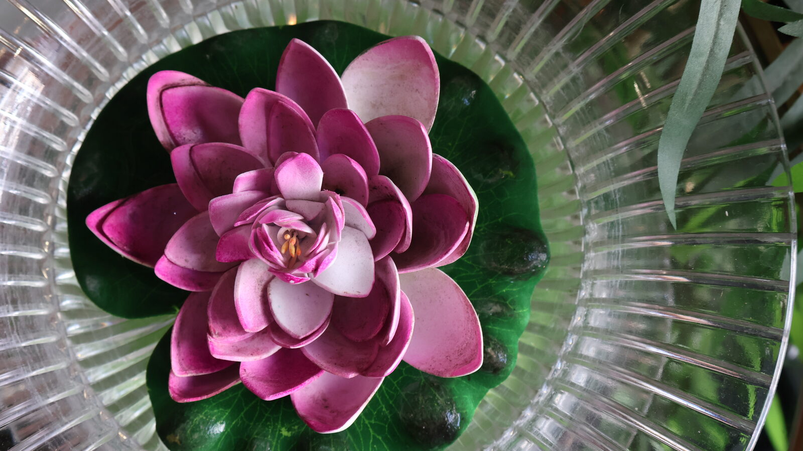 Lotus flower decoration